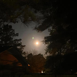 friday nights & saturday evenings (Explicit)