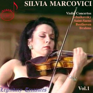 Violin Concerto No. 3 in B Minor, Op. 61, R. 198 - Violin Concerto No. 3 in B Minor, Op. 61, R. 198: II. Andantino quasi allegretto (Live)