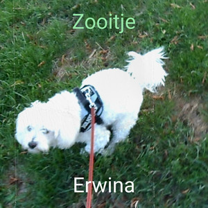 Zooitje (Explicit)