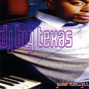 Guided Moonlight (Demo Version)