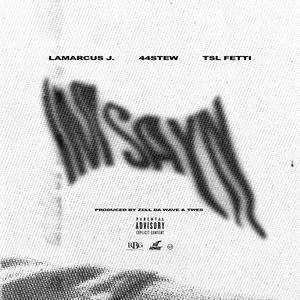 I'M Sayn (feat. TSL FETTI & 44 STEW) (Explicit)