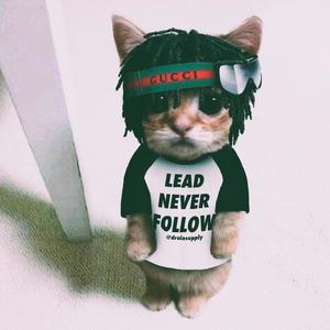 Love Flex (Explicit)