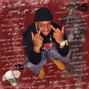 Gators Ina Zoo (feat. Hollygrove Keem) (Explicit)