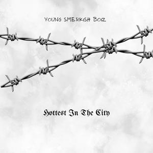 Hottest In The City (YSB Anthem) (feat. LulMirr, LulDeezFrmYSB & Baby Deeg) [Explicit]