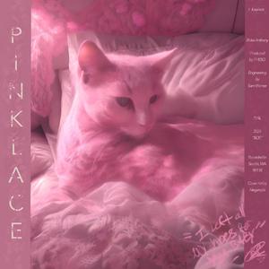 Pink Lace (feat. Pheso & Dont3) (Explicit)