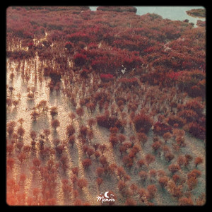 it’s ok, i only have tears in my third eye