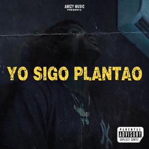 Yo Sigo Plantao