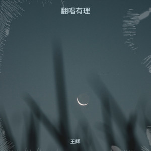 跟影子赛跑封面
