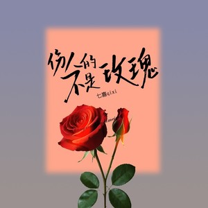 伤人的不是玫瑰 (DJ版)