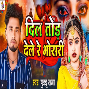 Dil Tod Dele Re Bhosari