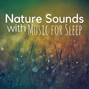 Nature Sounds with Music for Sleep, Focusing, Relaxing, Sounds of Nature Mountains, Water, Forest