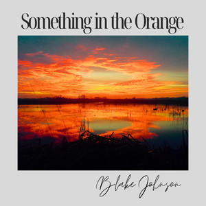 Something In The Orange