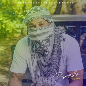 Propella(feat. Dj Viper)