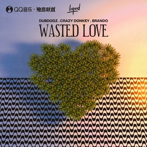 Wasted Love