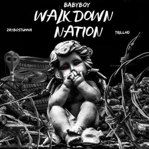 WalkDownNation (feat. Zaybo Stunna & Trill Hd) [Explicit]