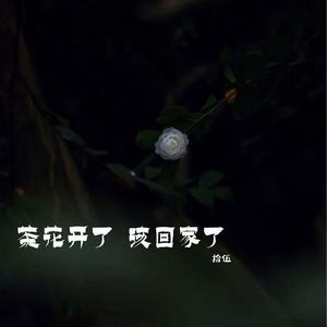 茶花开了，该回家了