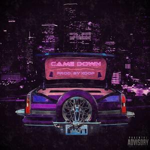 Came Down (Explicit)