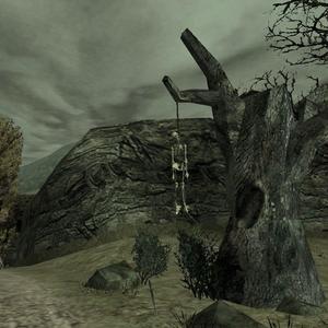 LOSSLESSIMAGE (feat. SLVG) (Explicit)