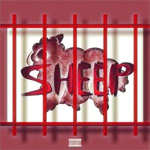 SHEEP (Explicit)