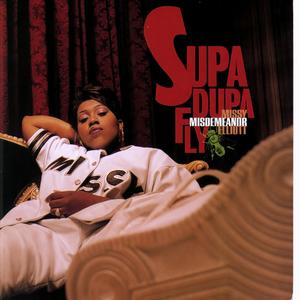 The Rain (Supa Dupa Fly)
