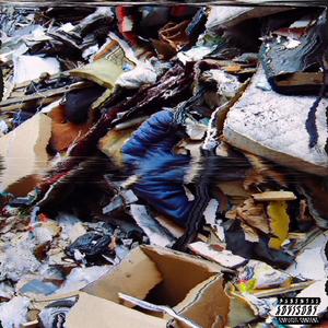 a throwaway playlist (Explicit)