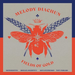 Fields of Gold (feat. Michael Occhipinti, David Restivo, Doug Stephenson & Tony Ferraro)