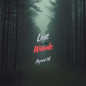 Lost in the Woods