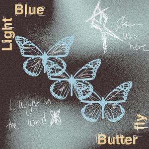 light blue butterfly