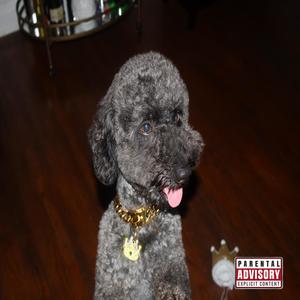 TOP BIT3CH (Explicit)