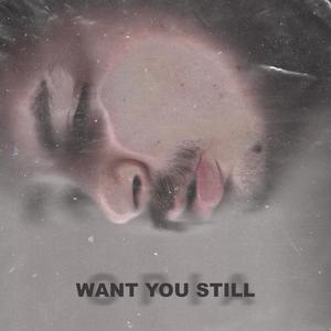 Want You Still