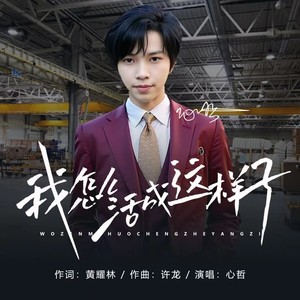 DJ阿俊版我怎么活成这样子 (伴奏)