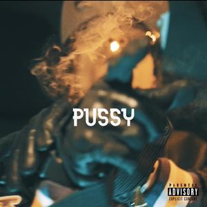 Pussy (feat. Realteec) (Explicit)