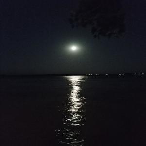 Rift XXVIII (Explicit)