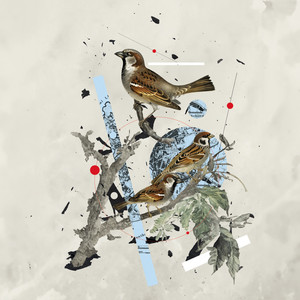 Los Gorriones (Explicit)