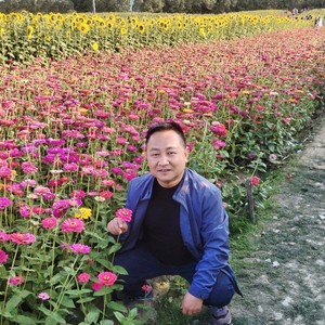 谁家的姑娘嫁给我