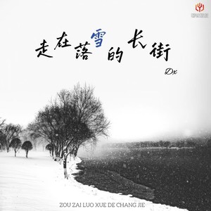 走在落雪的长街 (加速版)