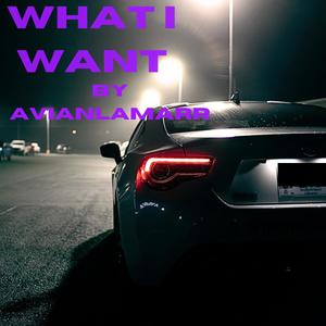 What I Want (Explicit)