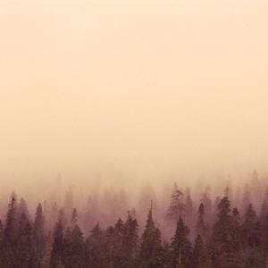 scar (feat. leyton) (Explicit)