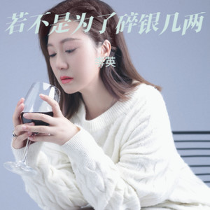若不是为了碎银几两 - 李英封面