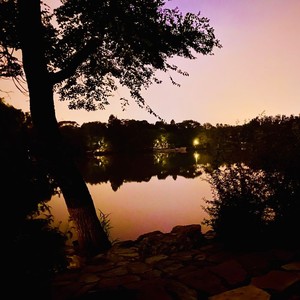 开什么学？ (伴奏)