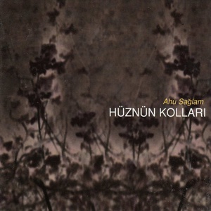 Hüznün Kolları