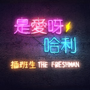 是爱呀, 哈利 (網絡劇 