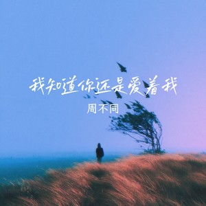 我知道你还是爱着我