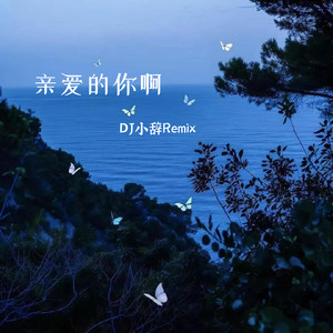 亲爱的你啊-DJ小辞