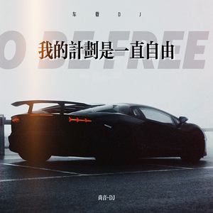我的计划是一直自由 (车载DJ)