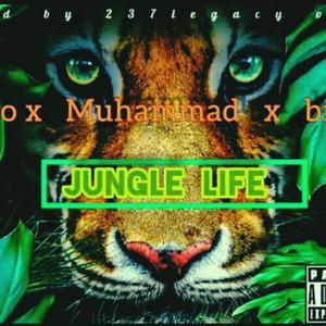 Jungle life (feat. Mohammed & Biskal)