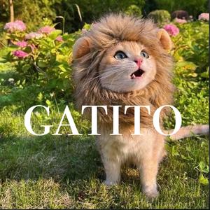 Un Gatito (feat. Mariangel)