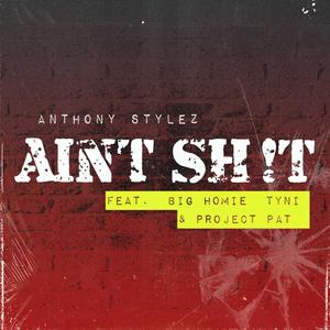 Aint **** (feat. BIG HOMIE TYNI & PROJECT PAT) (Remix|Explicit)