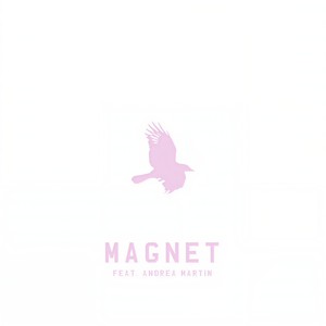 Magnet