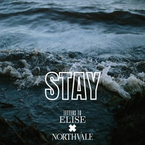 STAY (feat. Northvale) (Explicit)